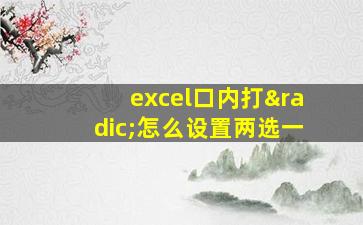 excel口内打√怎么设置两选一