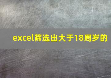 excel筛选出大于18周岁的