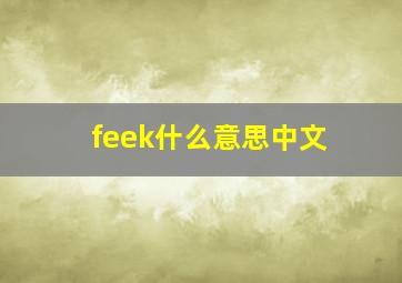 feek什么意思中文