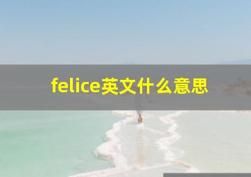 felice英文什么意思