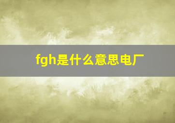 fgh是什么意思电厂