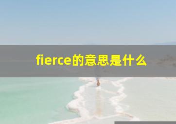 fierce的意思是什么