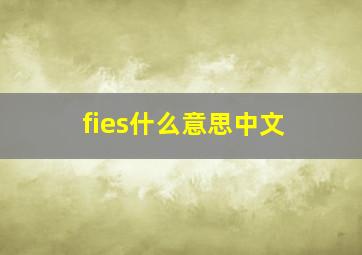 fies什么意思中文