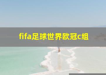 fifa足球世界欧冠c组