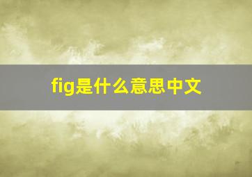 fig是什么意思中文