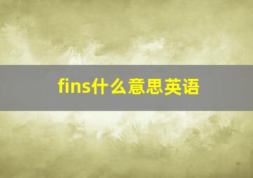 fins什么意思英语