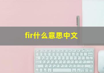 fir什么意思中文