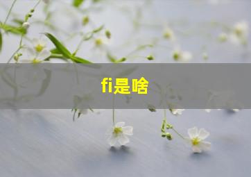 fi是啥