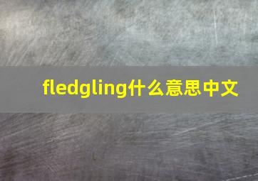 fledgling什么意思中文