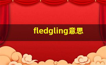 fledgling意思