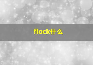 flock什么