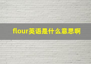 flour英语是什么意思啊