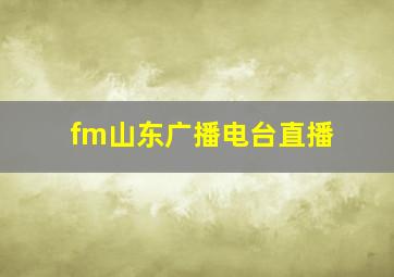 fm山东广播电台直播