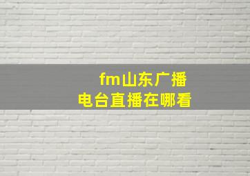 fm山东广播电台直播在哪看