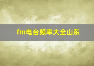 fm电台频率大全山东