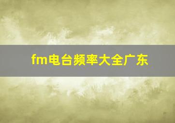 fm电台频率大全广东