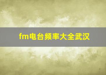 fm电台频率大全武汉