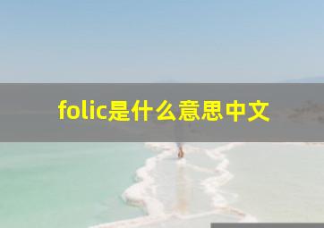 folic是什么意思中文