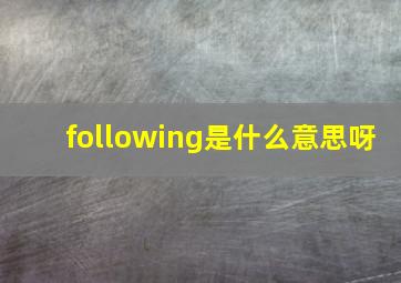 following是什么意思呀