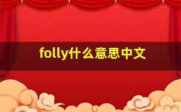 folly什么意思中文