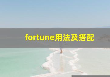 fortune用法及搭配