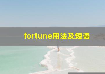 fortune用法及短语