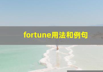 fortune用法和例句