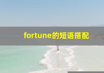 fortune的短语搭配