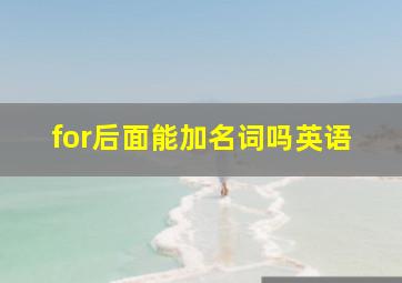 for后面能加名词吗英语