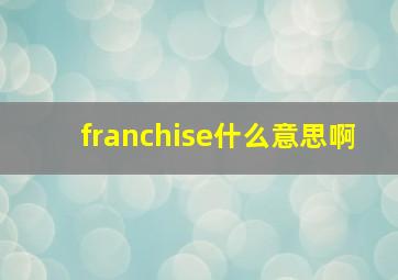 franchise什么意思啊