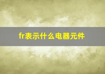 fr表示什么电器元件