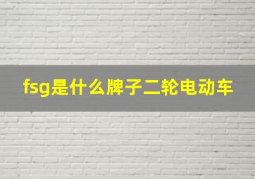 fsg是什么牌子二轮电动车