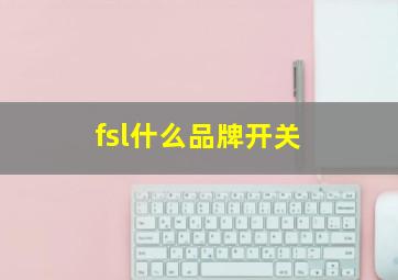 fsl什么品牌开关