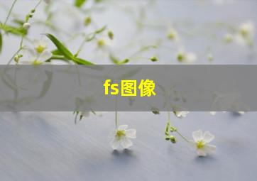 fs图像