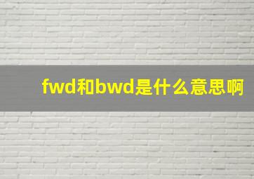 fwd和bwd是什么意思啊