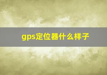 gps定位器什么样子