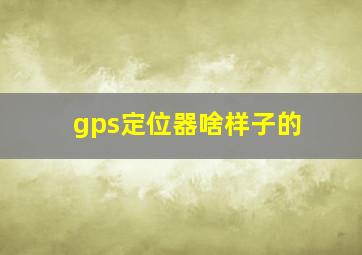 gps定位器啥样子的