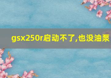 gsx250r启动不了,也没油泵