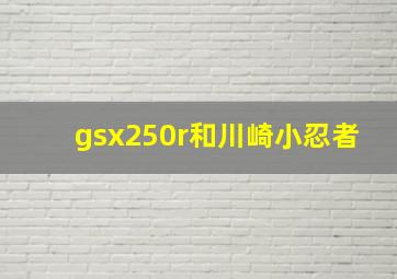 gsx250r和川崎小忍者