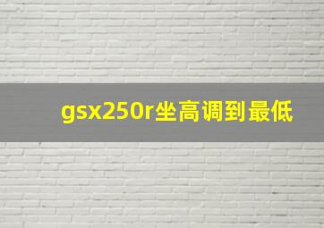 gsx250r坐高调到最低