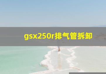 gsx250r排气管拆卸