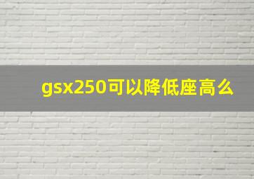 gsx250可以降低座高么