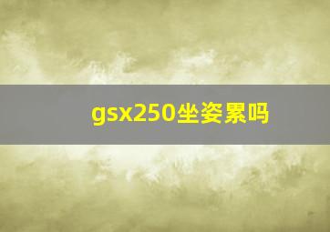 gsx250坐姿累吗