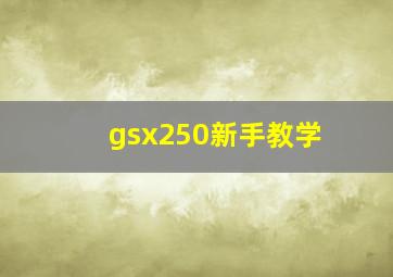 gsx250新手教学