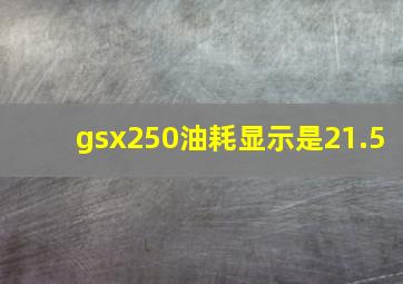 gsx250油耗显示是21.5