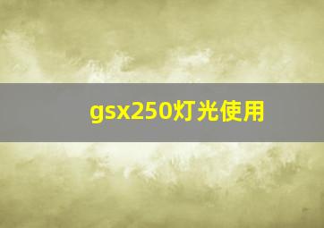 gsx250灯光使用