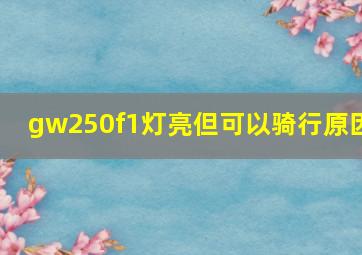 gw250f1灯亮但可以骑行原因