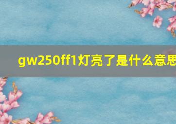 gw250ff1灯亮了是什么意思