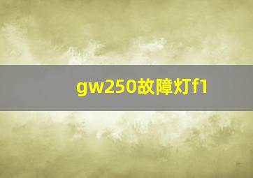 gw250故障灯f1