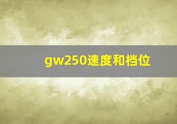 gw250速度和档位